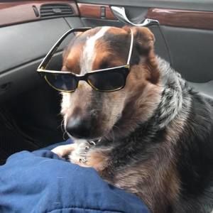 Meet your Posher, Robert